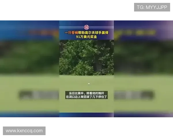 苍蝇意外飞入球场助攻 高尔夫选手神奇逆袭赢650万大奖 苍蝇意外飞入球场助攻 高尔夫选手神奇逆袭赢650万大奖
